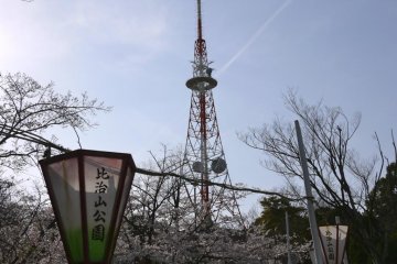 Hijiyama park is easy to access by street car or even a short walk from the station & offers the most Hanami options in Hiroshima city