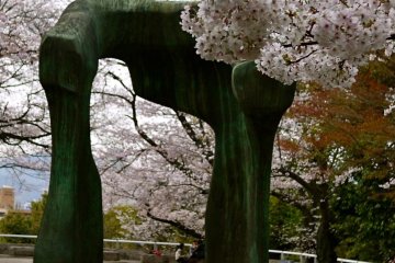 Opposite the Modern Art Museum, many families were enjoying blossoms around the famous modern art Moore sculpture