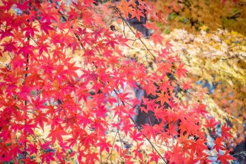 The colorful sights continue throughout this picturesque valley 