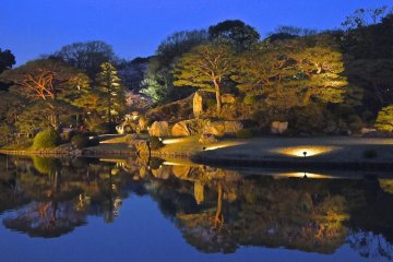 Rikugien Gardens Light Up