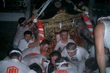 Shrine festival time.