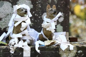 Two stone dogs sit patiently, covered in paper slips for good fortune.