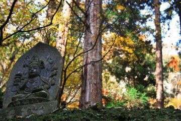 Stone sculptures and other carvings dot the shady forest as you climb the steps to the top.
