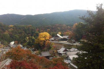 Landscape from the terrace