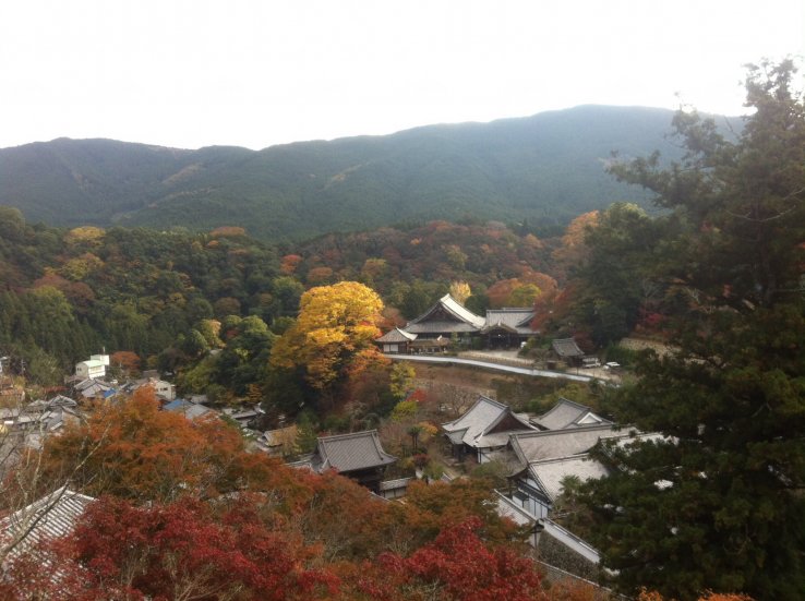 Landscape from the terrace