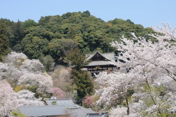 Sakura period