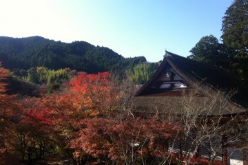 Tanzan jinja