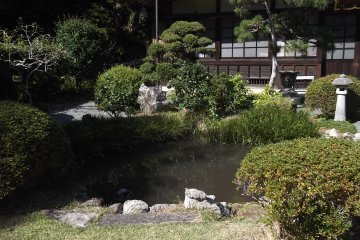 The pond in front of the hall