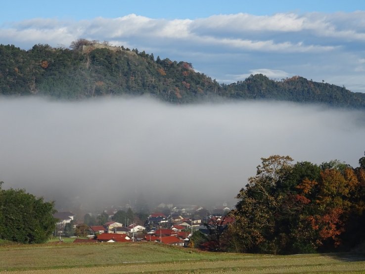 Mist, dividing the castle in the clouds from the world below
