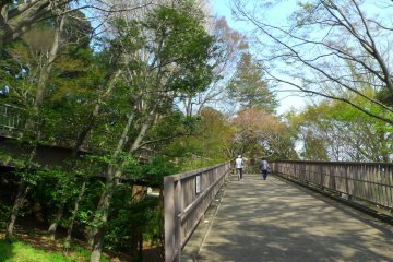 After crossing the bridge from Lake Senba, this beautiful pathway greets you