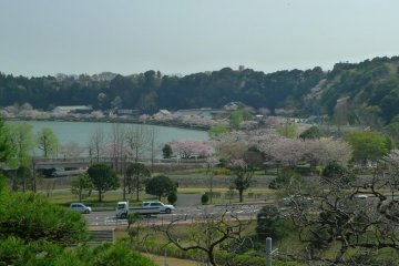 View of Lake Senba from the garden