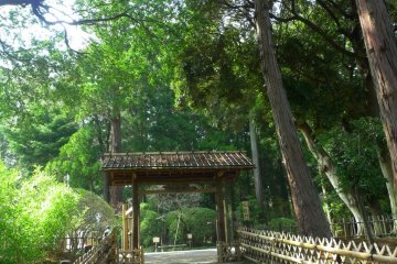 Gate going to Kobuntei