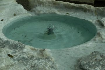 The spring water was said to be a remedy for vision problems and was also used during tea ceremonies in Kobuntei