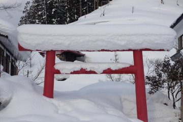 A half-buried red torii shows the depth of the snowfall here.