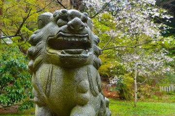 Stone guardian dog and cherry blossoms at Hanzobo