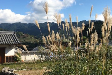 Asuka village