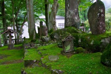 Gorgeous green moss everywhere - this was at 7AM and all was fresh and beautiful