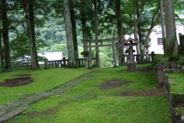 The moss was flat and smooth, like a billiard table