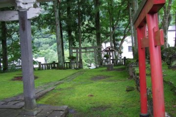 The mix of green and red is beautiful