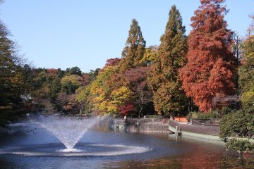 Top 11 Destinations of Western Tokyo