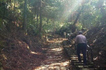 Trail to the Top
