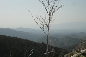 The top.