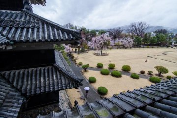 Even on a cloudy and rainy day, the views from the castle are stunning.