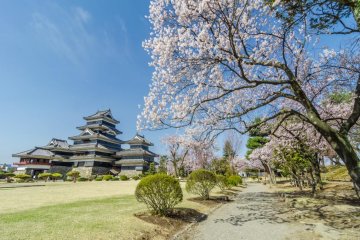 If you want to enjoy the castle grounds quietly, go early to avoid crowds.