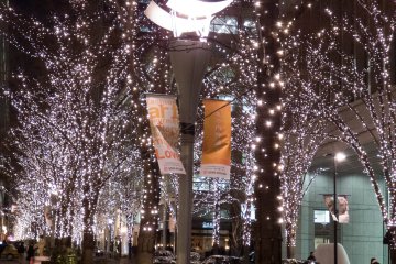 Covered with thousands of Champaign colored LEDS, these illuminations are an impressive sight