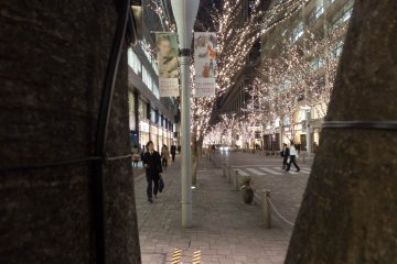 Grabbing a sneak peak from behind a tree