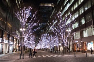 The usually mundane streets are a pretty sight during winter