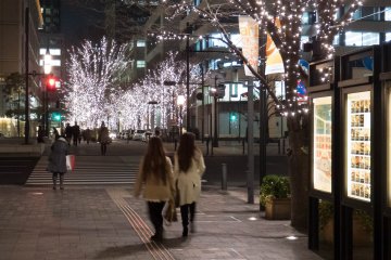The bright lights left a warming impression when making my way back to Tokyo station
