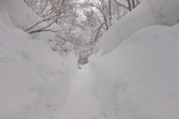 Le sentier pour le bain principal