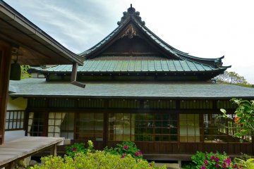Temple study and peonies