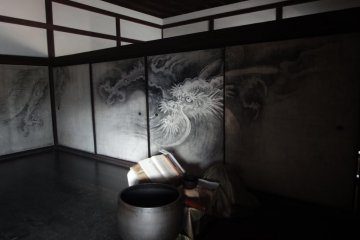 Dragon Screen