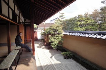 Quiet Contemplation