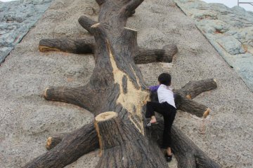 <p>The sloped area around the elevated observatin tower features a rope climb, rock climbing, and a fallen tree climb</p>