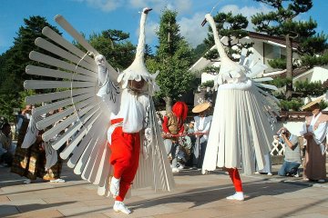 Heron Dance 2026