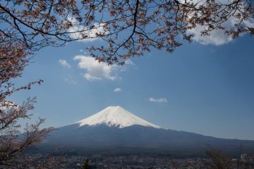 Another classic view—still beautiful at the end of the cherry blossom season