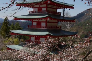 The Pagoda