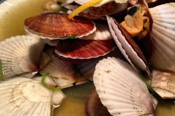 <p>Hotate scallops</p>