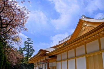 The pink blossoms go very well with with the fresh golden structure
