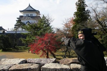 You can dress like a ninja and infiltrate nearby Iga Ueno Castle