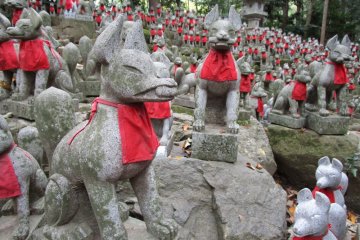 Countless foxes are donated to Toyokawa Inari Temple as a thank you for prayers answered