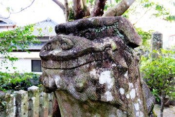 Guardians at the gate