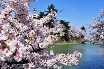 Fukui City
