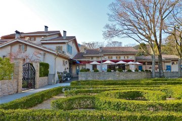 Museum restaurant