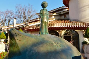 Little Prince on his little asteroid, B-612