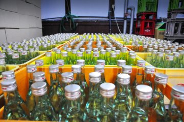 Bottles of sake
