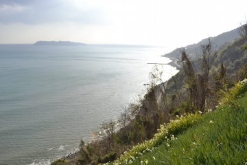The ocean view